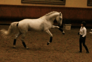 capture-decran-2017-01-12-a-17-41-21