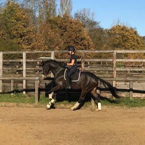 26804946_10157165329014478_4130279175047069746_n