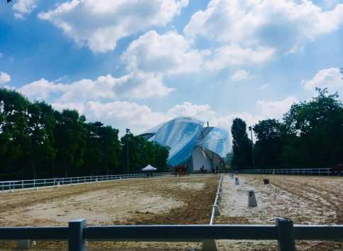 60965601_10158649487369478_2239605220415897600_n