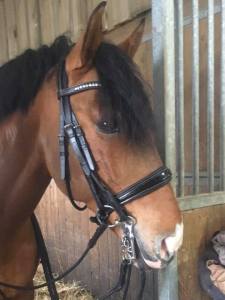 82744438_10216813988197113_635629377119322112_n